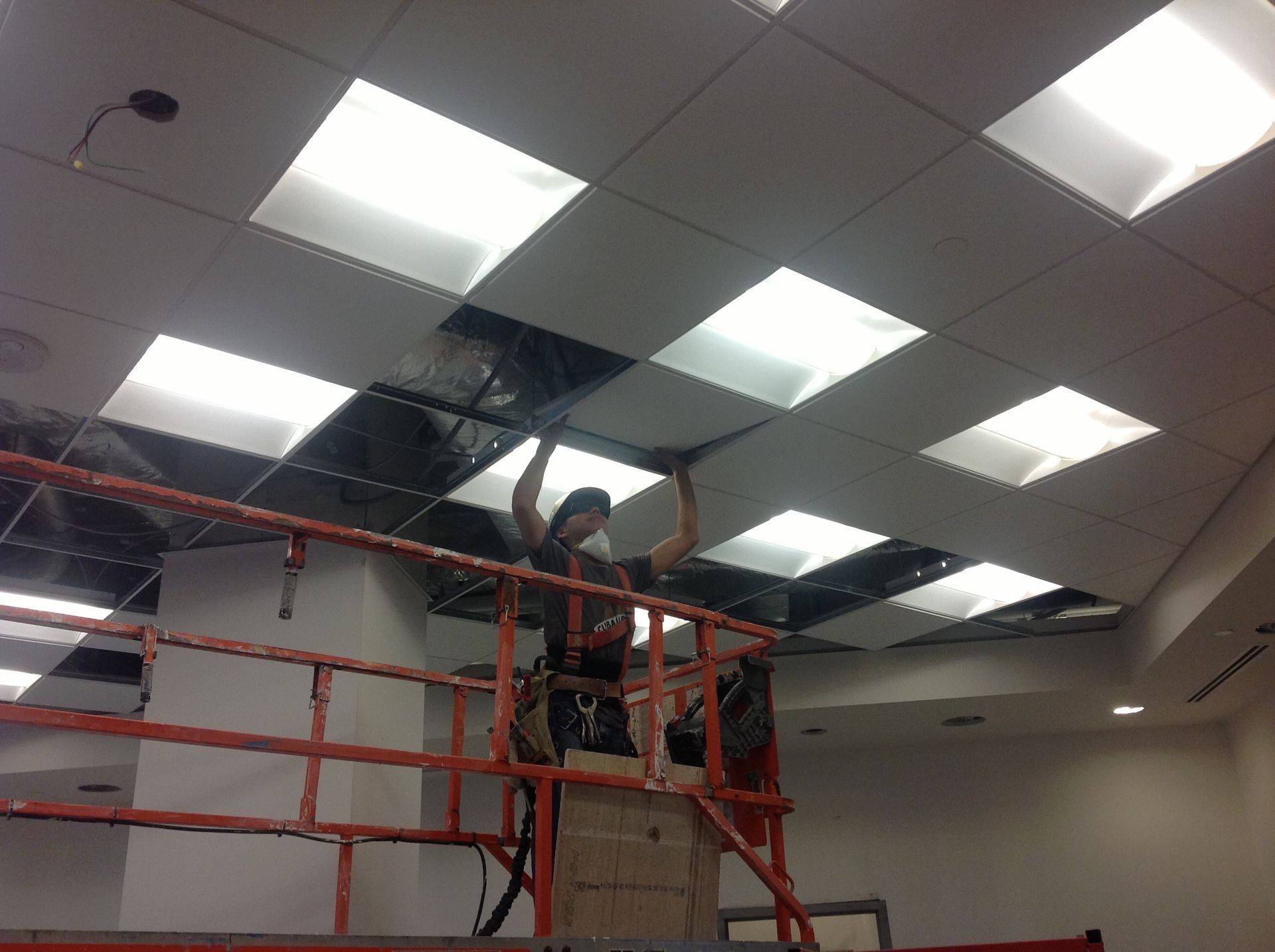 Expert Ceiling Tile Installation